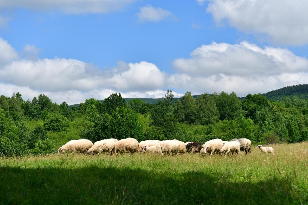 Natura hause Rakovica Bagian luar foto
