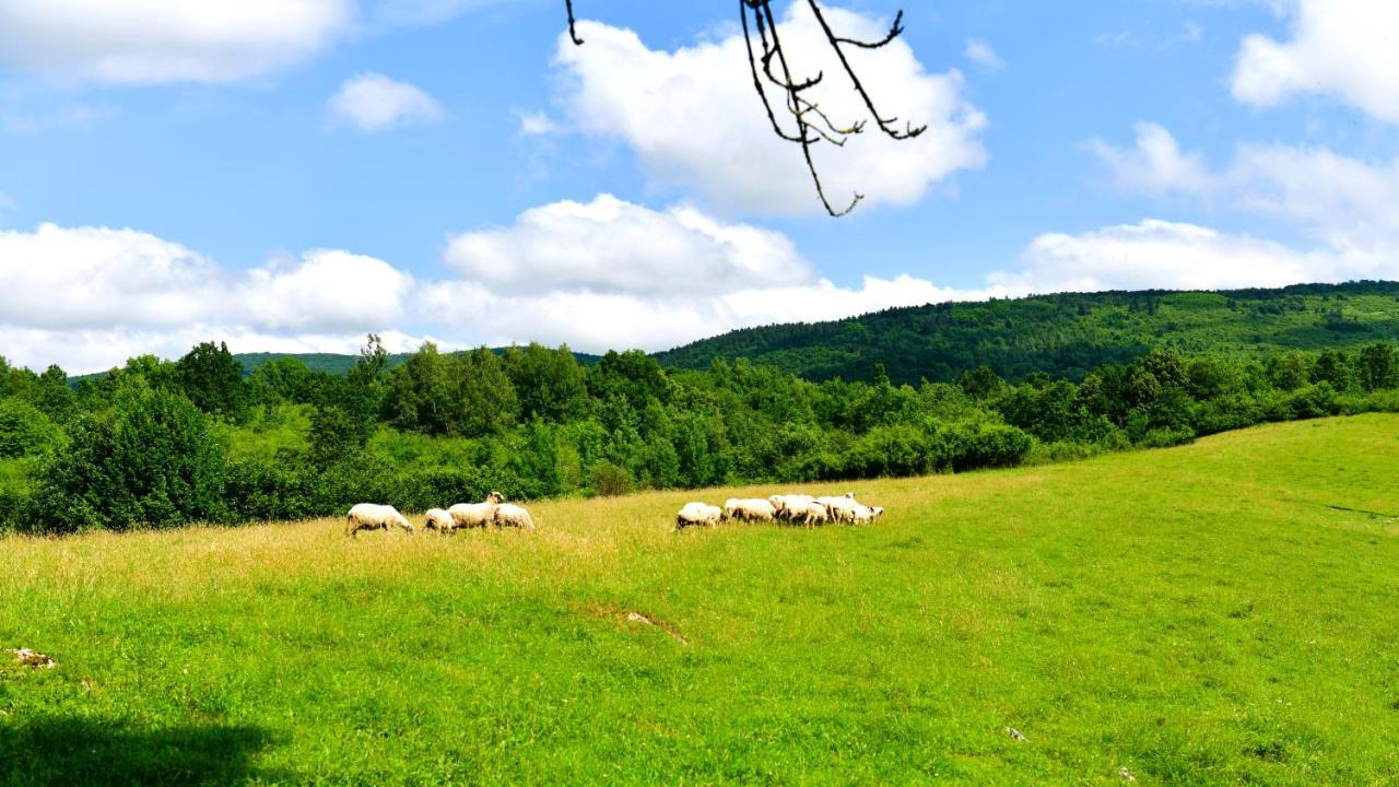 Natura hause Rakovica Bagian luar foto