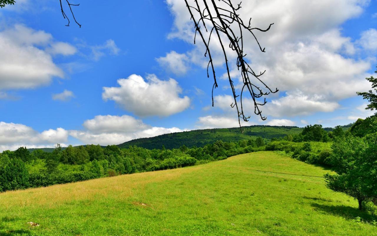 Natura hause Rakovica Bagian luar foto