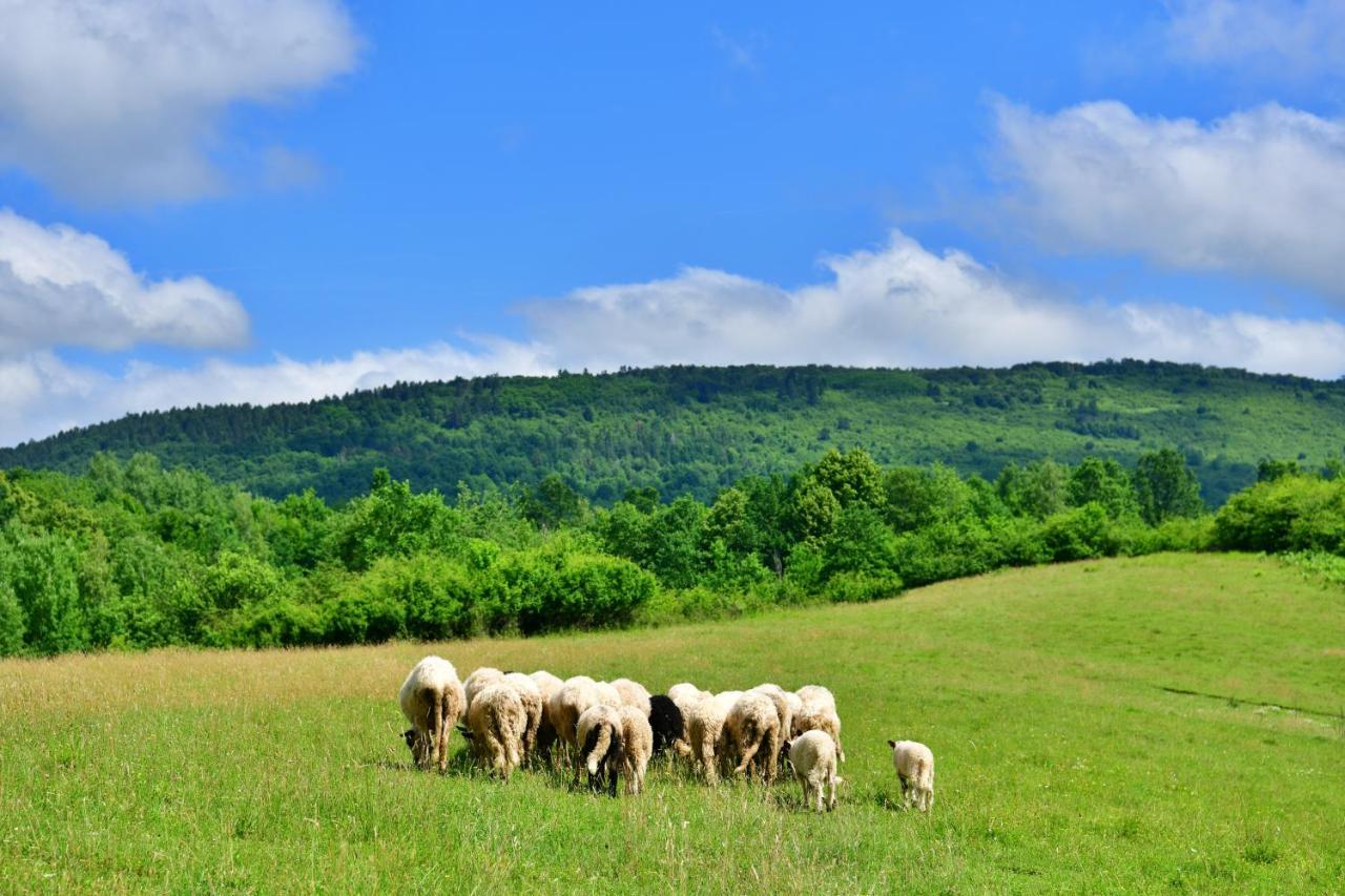 Natura hause Rakovica Bagian luar foto